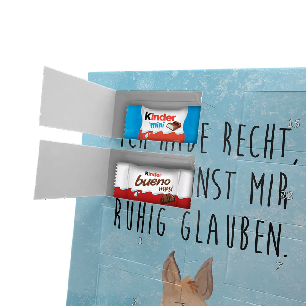  głowa lamy zirytowany Lama, Alpaka