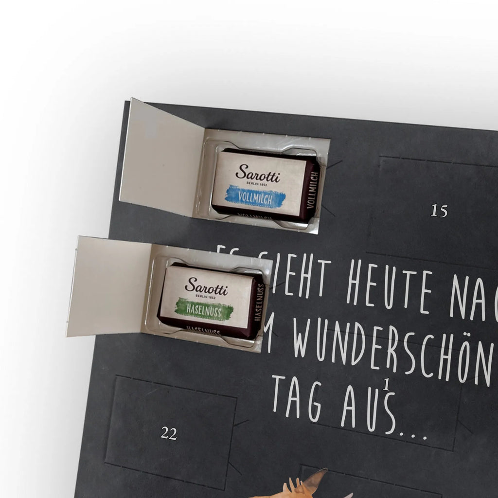  lama Jump Llama, llama, alpaca, trendy animal, new start, happy, happy day, Lama, heartache, girlfriend, luck, start, favourite day, graduation, good morning, exam, llamas