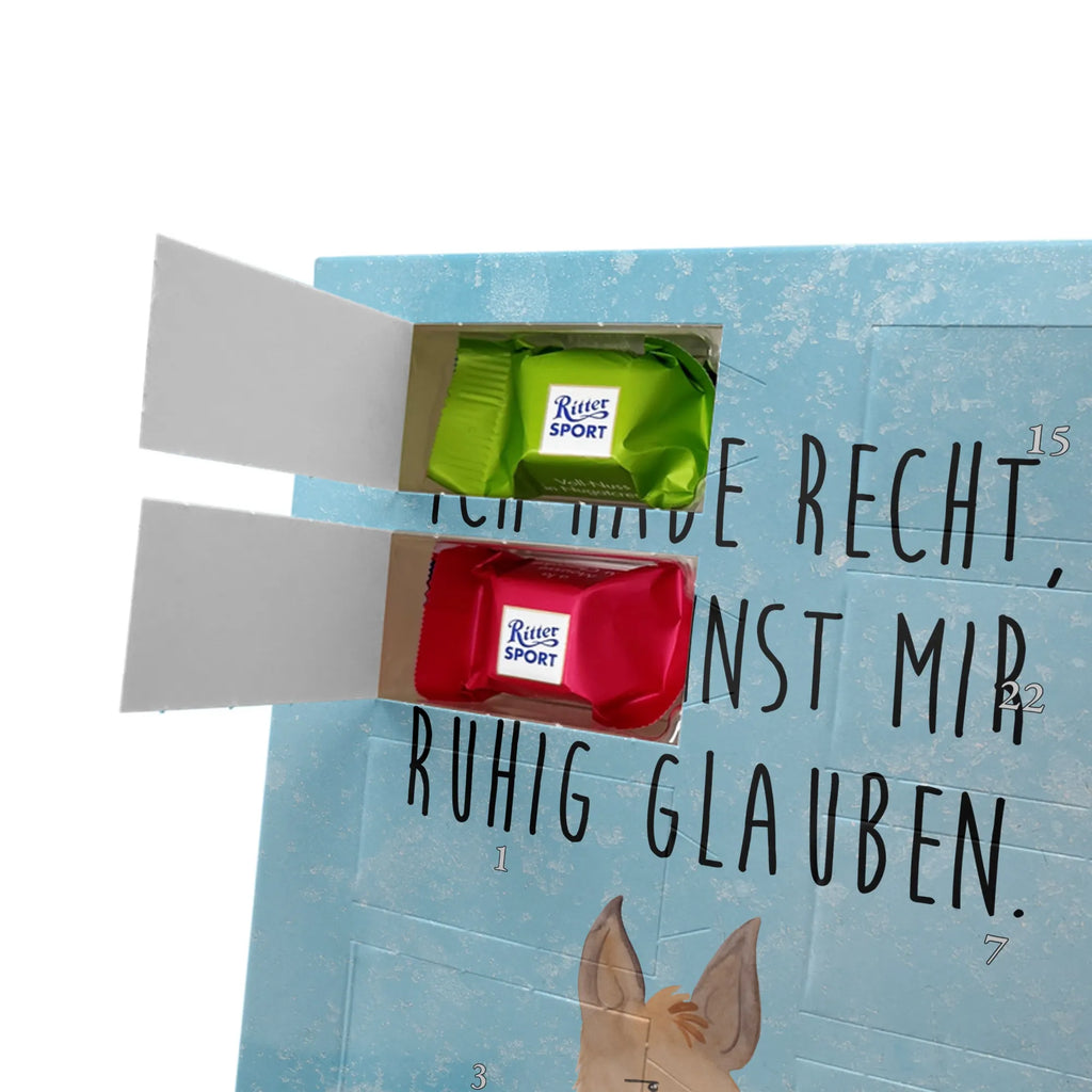  głowa lamy zirytowany Lama, Alpaka