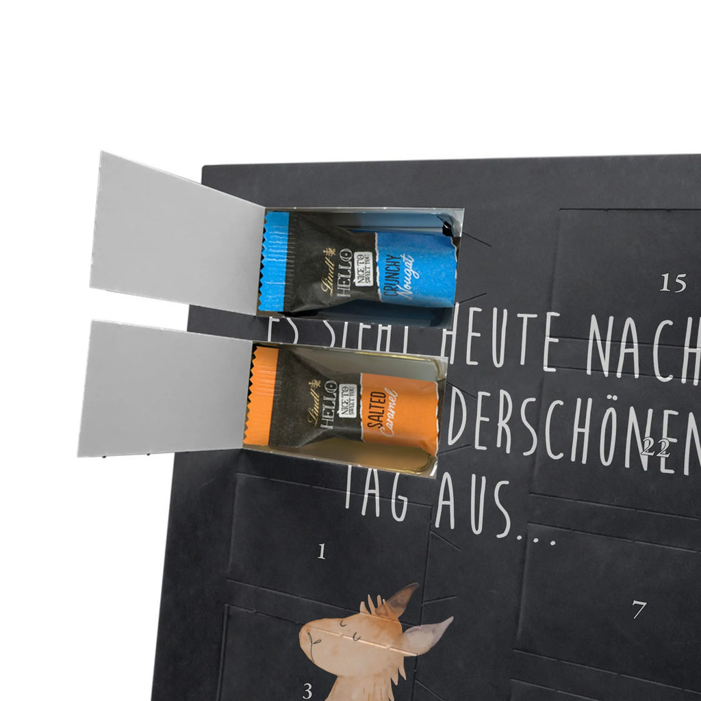  lama Jump Llama, llama, alpaca, trendy animal, new start, happy, happy day, Lama, heartache, girlfriend, luck, start, favourite day, graduation, good morning, exam, llamas