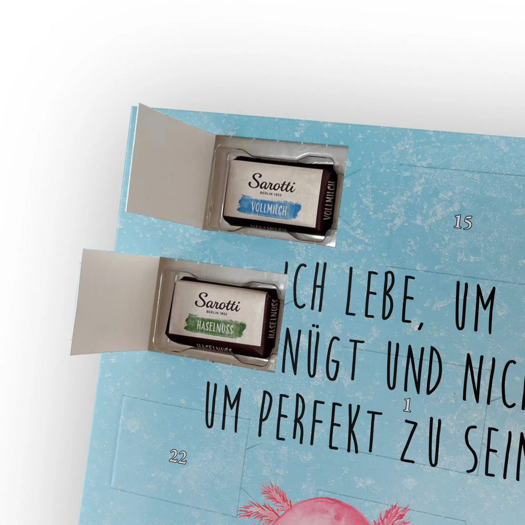  axolotl zero Axolotl, Axelotl, marine animals, Mexican walking fish, salamander, contented, girlfriend, love, wisdom, Axolot, happy, cheerful, worldly wisdom, lifestyle