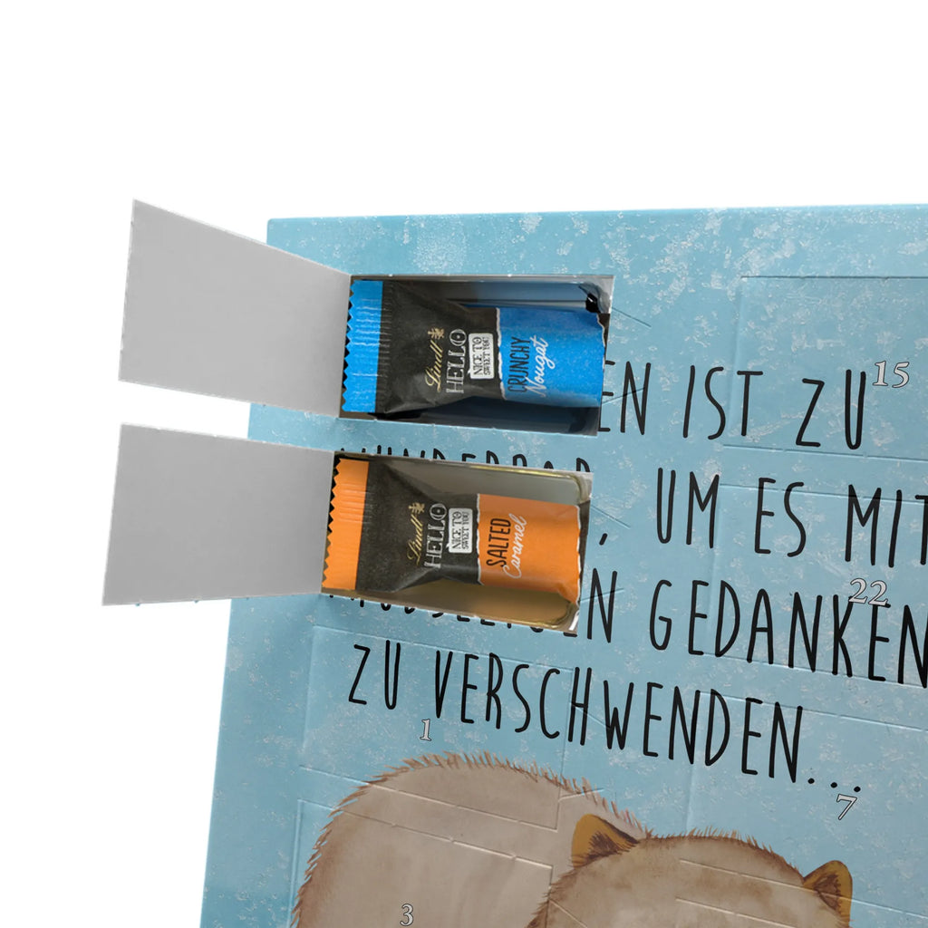  Wombat Motywy zwierzęce, dobra energia, zabawne powiedzonka, zwierzęta