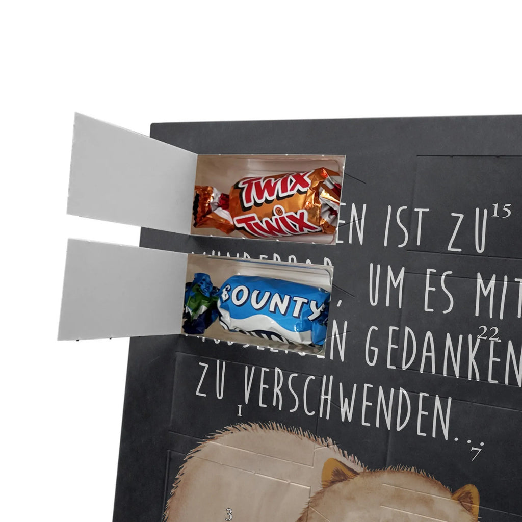  Wombat Motywy zwierzęce, dobra energia, zabawne powiedzonka, zwierzęta