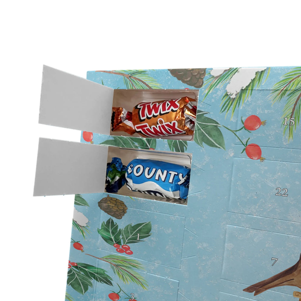  robin Sleds snow, Christmas time, bird, sleigh