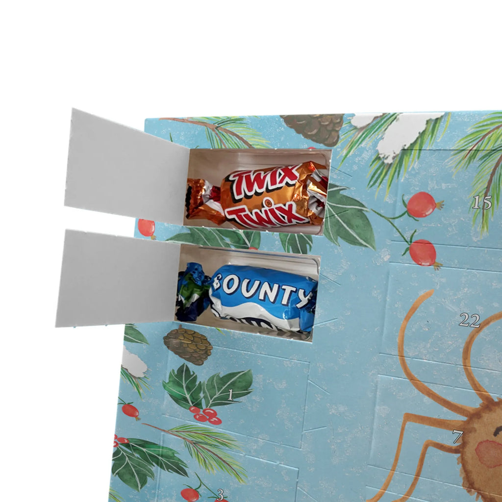  Pająk Agata Motywacja Filmy, Towary, Pająk, Pająk Agathe