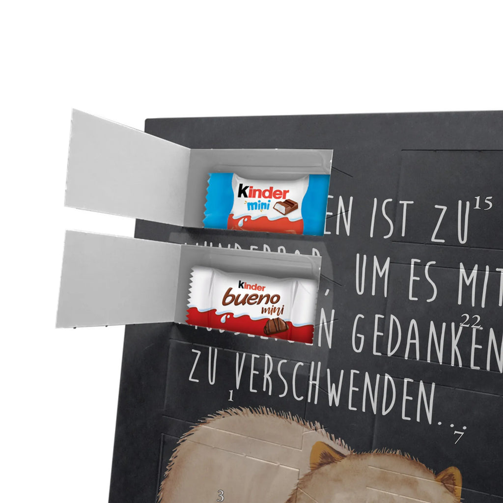  Wombat Motywy zwierzęce, dobra energia, zabawne powiedzonka, zwierzęta