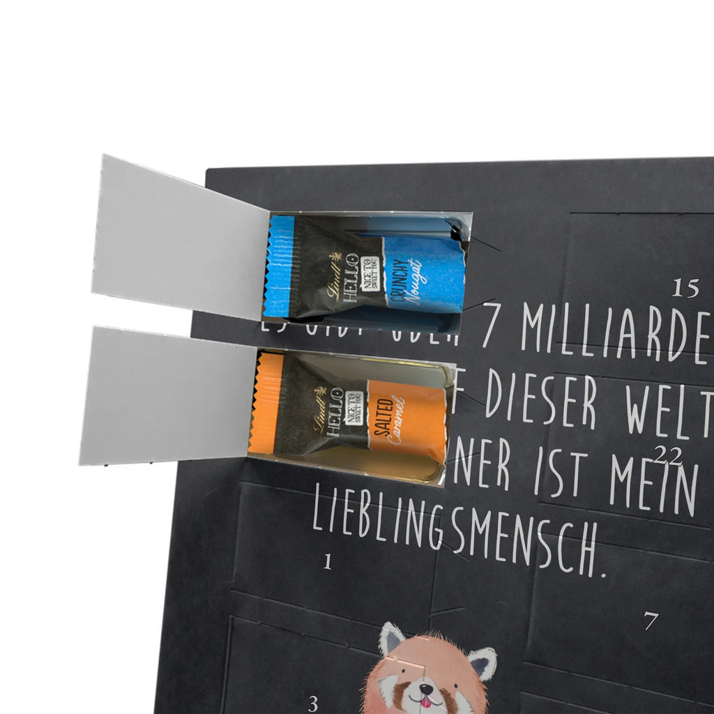  Czerwony Panda Motywy zwierzęce, dobra energia, zabawne powiedzonka, zwierzęta