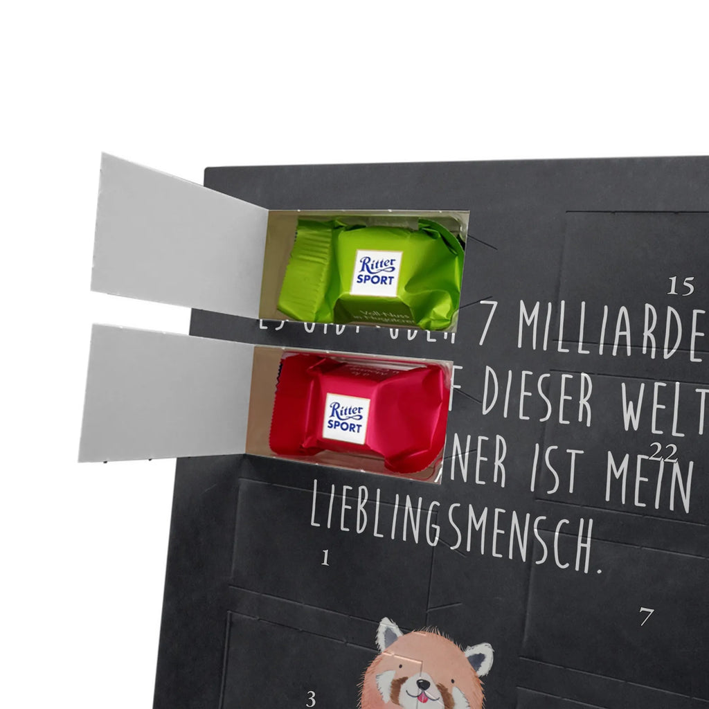  Czerwony Panda Motywy zwierzęce, dobra energia, zabawne powiedzonka, zwierzęta