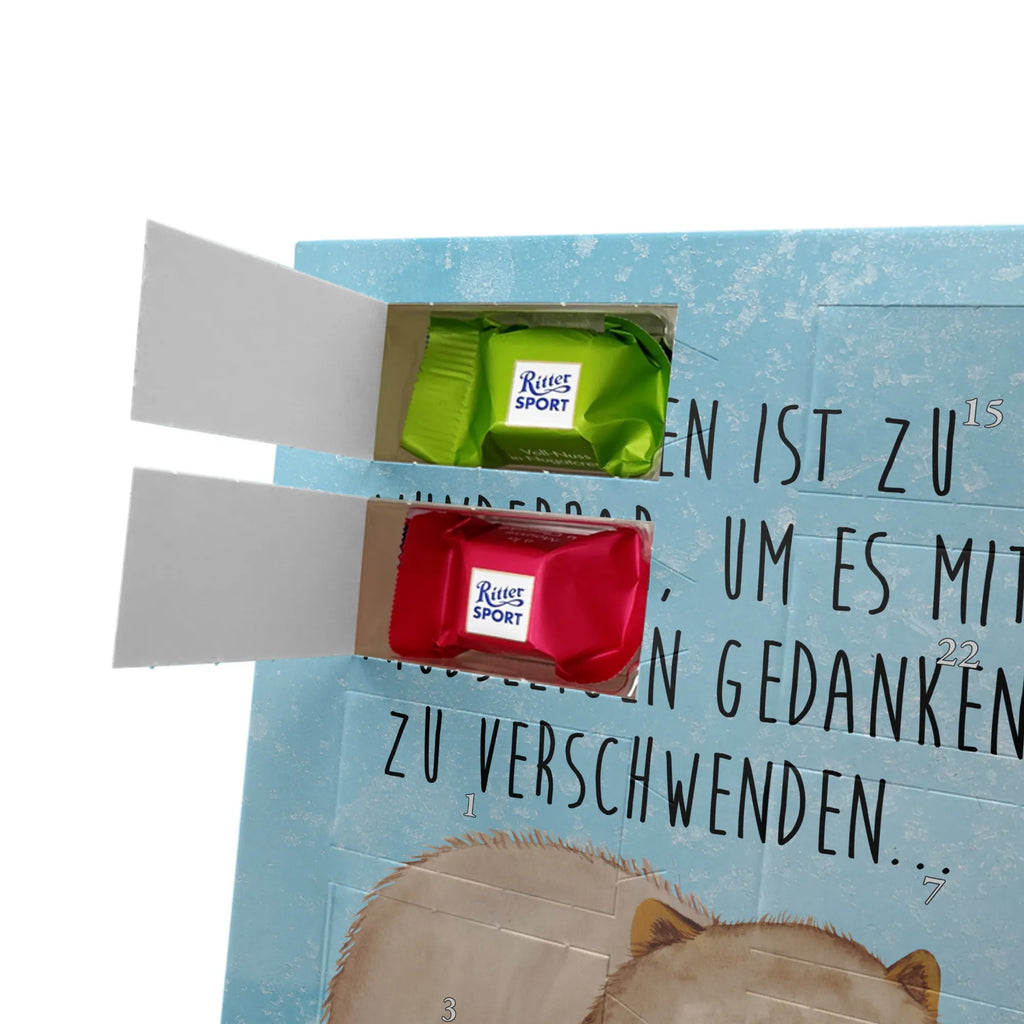  Wombat Motywy zwierzęce, dobra energia, zabawne powiedzonka, zwierzęta