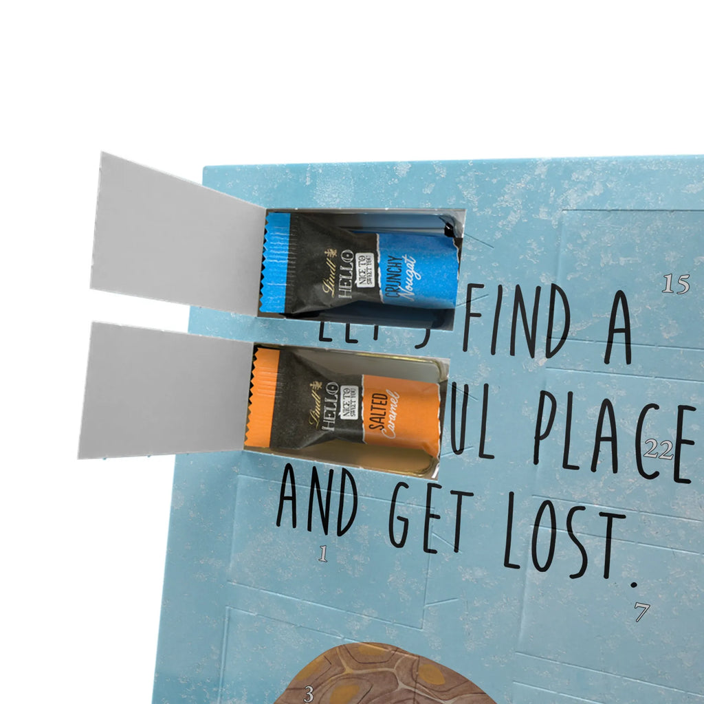  tortoise March Seafood, aquatic animals, ocean, sea, fish, shells, corals, reef, whale, narwhal, sea urchin, lobster, platypus, turtle, manatee, crocodile, orca, shrimp, gifts for seafood lovers, water world, underwater animals, underwater world, vacation, deep sea, seafood fans, gift ideas, seafood decoration, seafood posters, turtles, new start, wanderlust, adventure, favourite person, inspiration, get lost, motivation