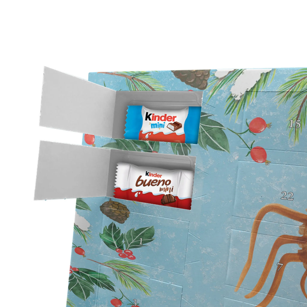  Pająk Agata kanapka Filmy, Towary, Pająk, Pająk Agathe