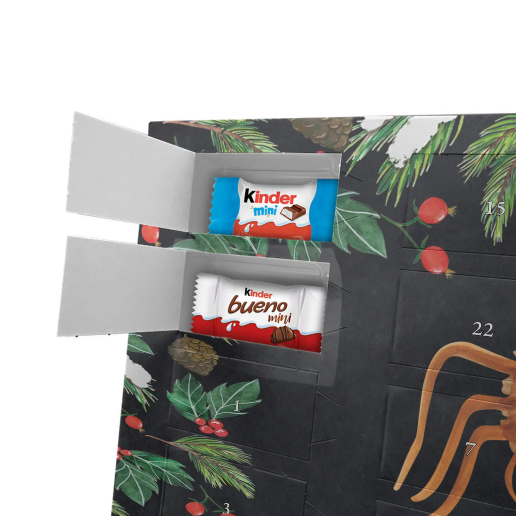  Pająk Agata kanapka Filmy, Towary, Pająk, Pająk Agathe