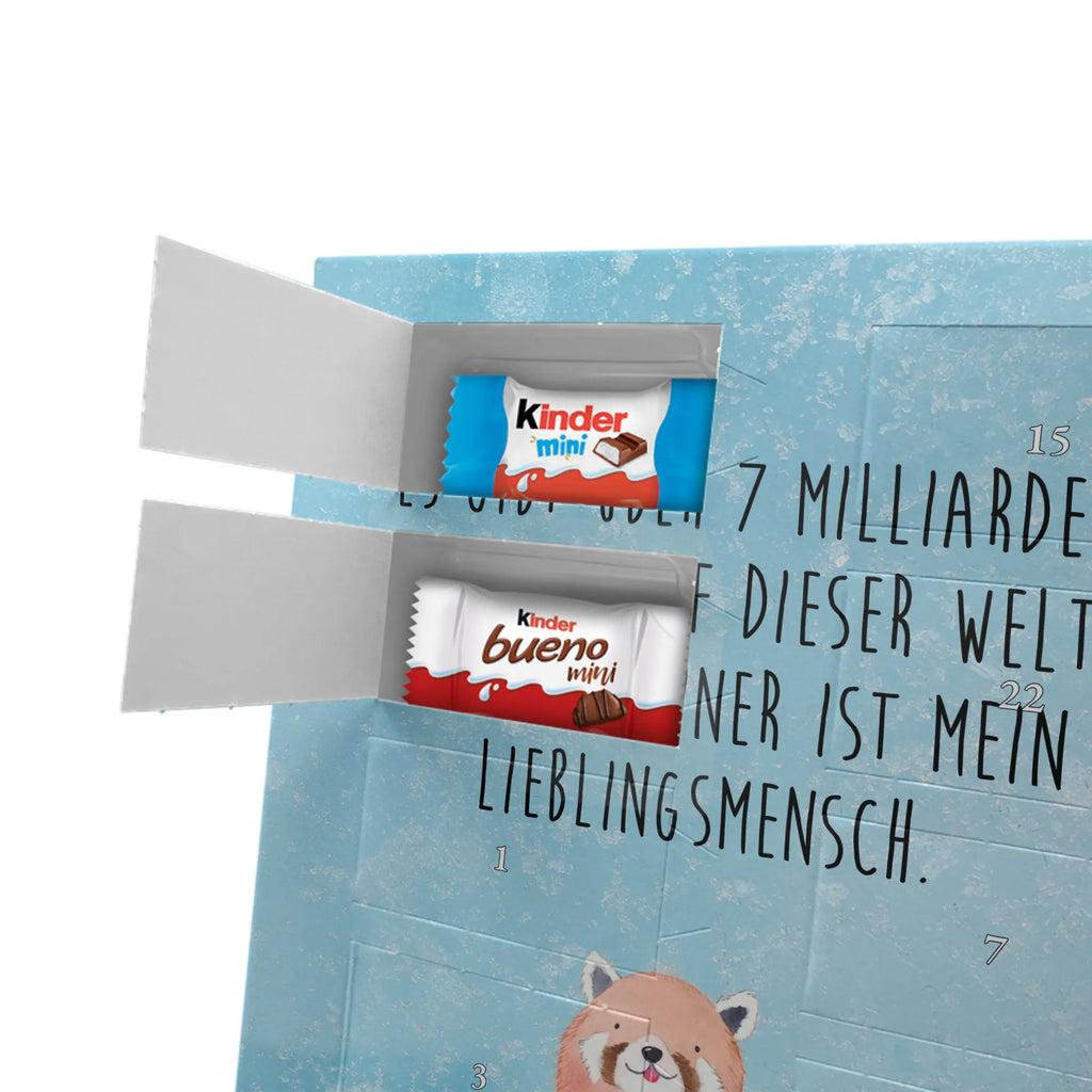  Czerwony Panda Motywy zwierzęce, dobra energia, zabawne powiedzonka, zwierzęta