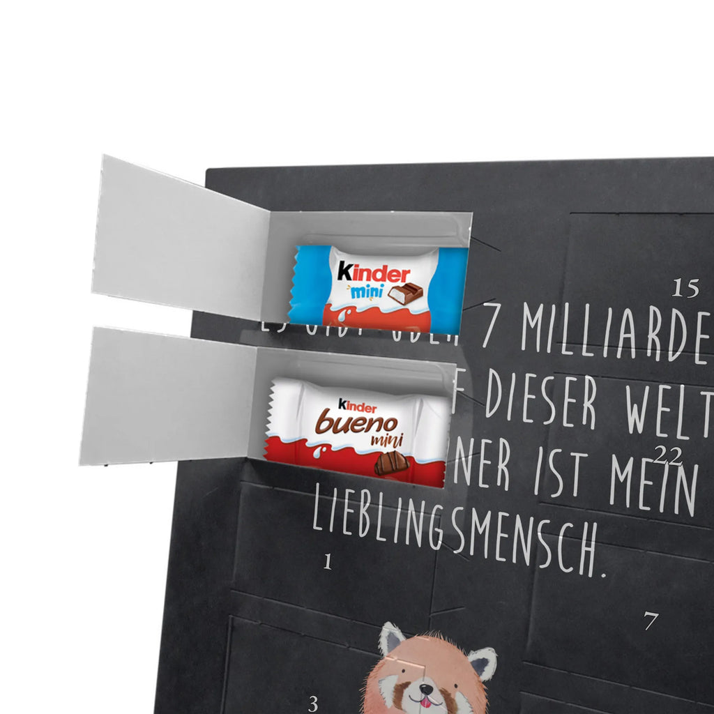  Czerwony Panda Motywy zwierzęce, dobra energia, zabawne powiedzonka, zwierzęta