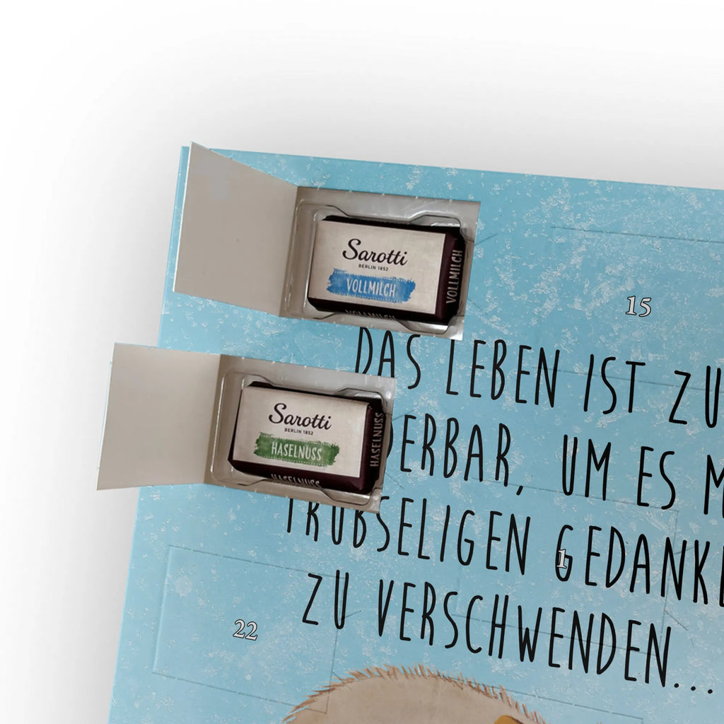  Wombat Motywy zwierzęce, dobra energia, zabawne powiedzonka, zwierzęta