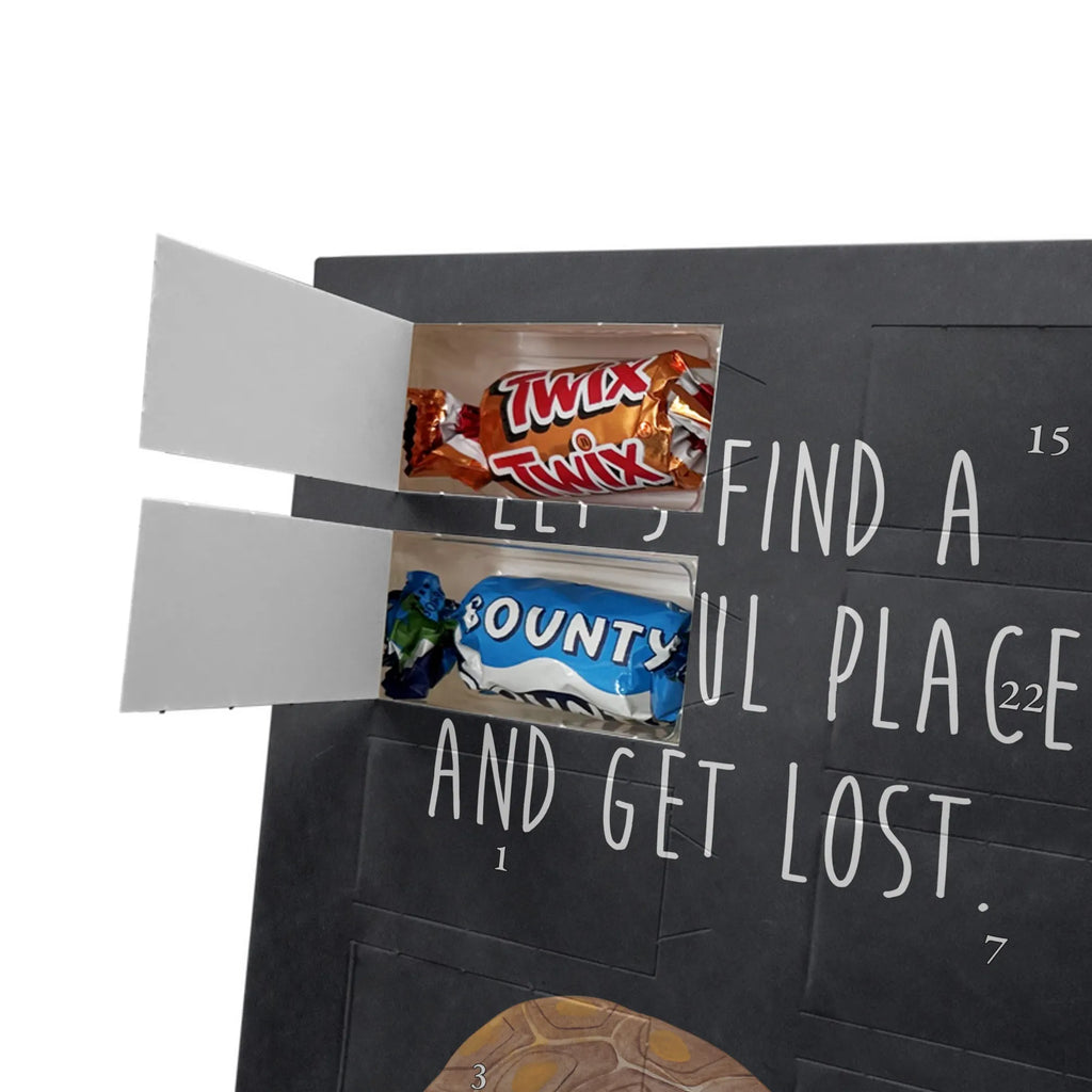  tortoise March Seafood, aquatic animals, ocean, sea, fish, shells, corals, reef, whale, narwhal, sea urchin, lobster, platypus, turtle, manatee, crocodile, orca, shrimp, gifts for seafood lovers, water world, underwater animals, underwater world, vacation, deep sea, seafood fans, gift ideas, seafood decoration, seafood posters, turtles, new start, wanderlust, adventure, favourite person, inspiration, get lost, motivation