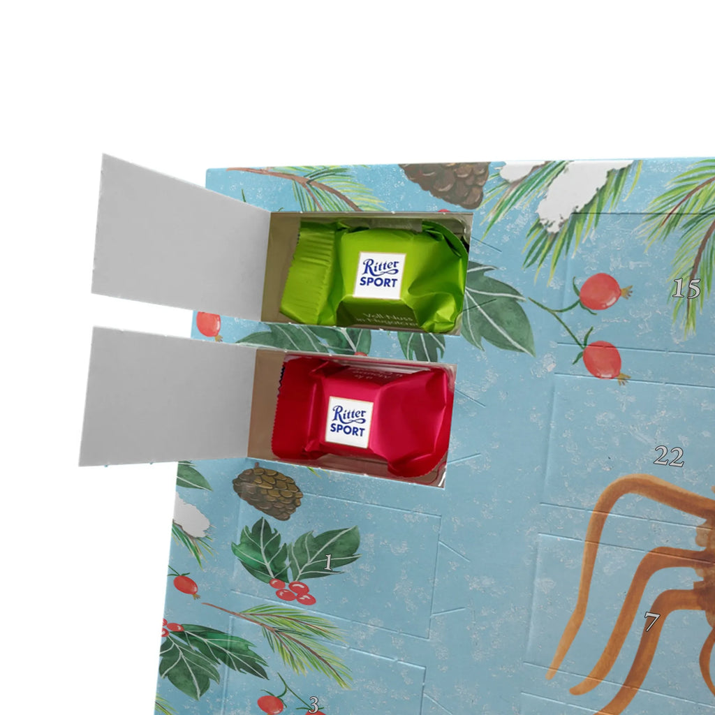  Pająk Agata kanapka Filmy, Towary, Pająk, Pająk Agathe