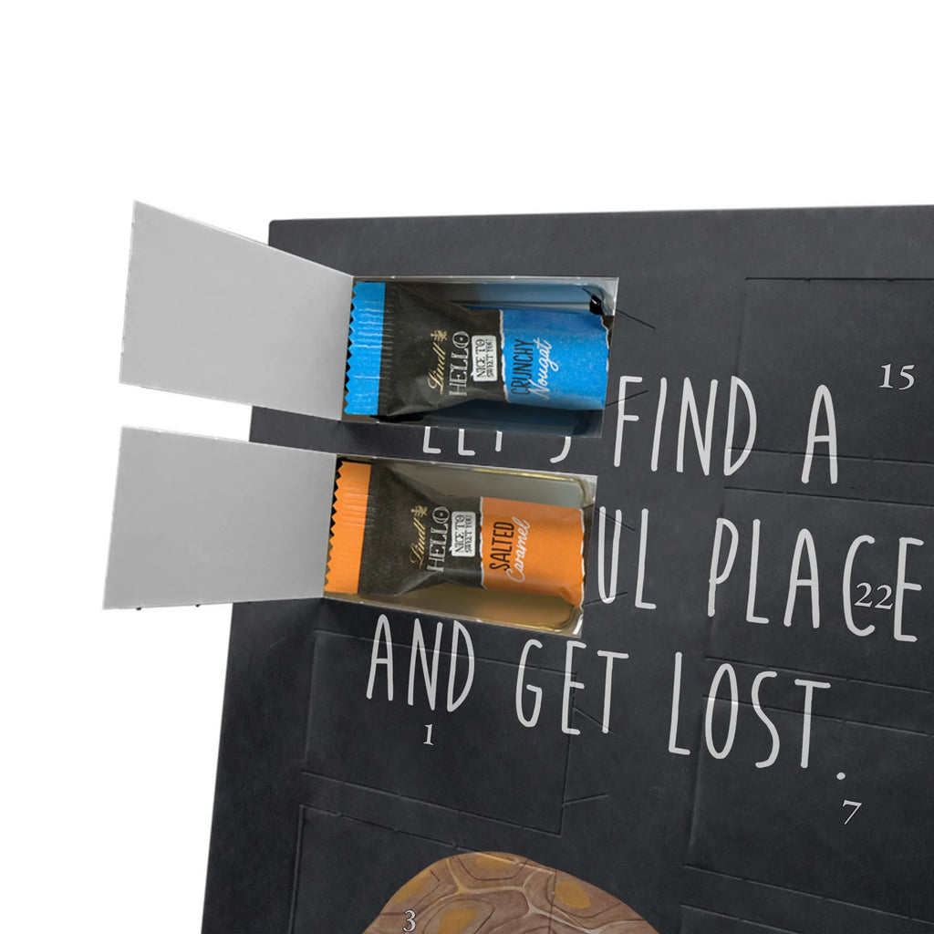  tortoise March Seafood, aquatic animals, ocean, sea, fish, shells, corals, reef, whale, narwhal, sea urchin, lobster, platypus, turtle, manatee, crocodile, orca, shrimp, gifts for seafood lovers, water world, underwater animals, underwater world, vacation, deep sea, seafood fans, gift ideas, seafood decoration, seafood posters, turtles, new start, wanderlust, adventure, favourite person, inspiration, get lost, motivation