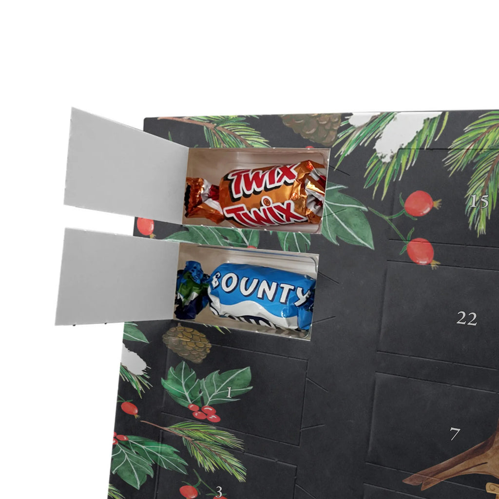  robin Sleds snow, Christmas time, bird, sleigh