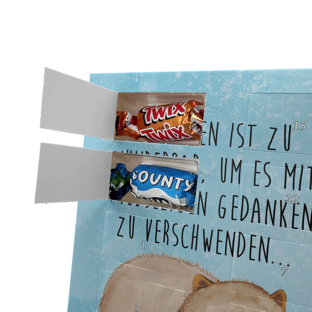  Wombat Motywy zwierzęce, dobra energia, zabawne powiedzonka, zwierzęta