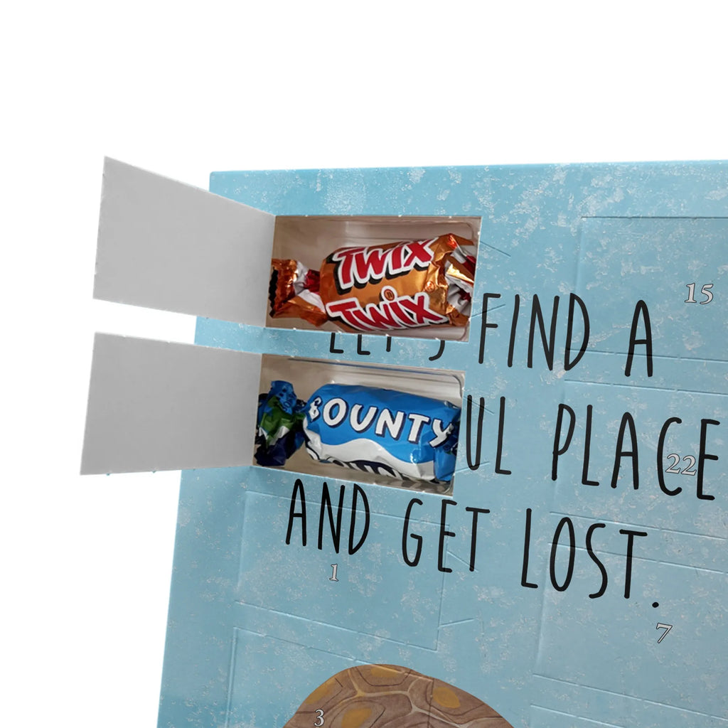  tortoise March Seafood, aquatic animals, ocean, sea, fish, shells, corals, reef, whale, narwhal, sea urchin, lobster, platypus, turtle, manatee, crocodile, orca, shrimp, gifts for seafood lovers, water world, underwater animals, underwater world, vacation, deep sea, seafood fans, gift ideas, seafood decoration, seafood posters, turtles, new start, wanderlust, adventure, favourite person, inspiration, get lost, motivation