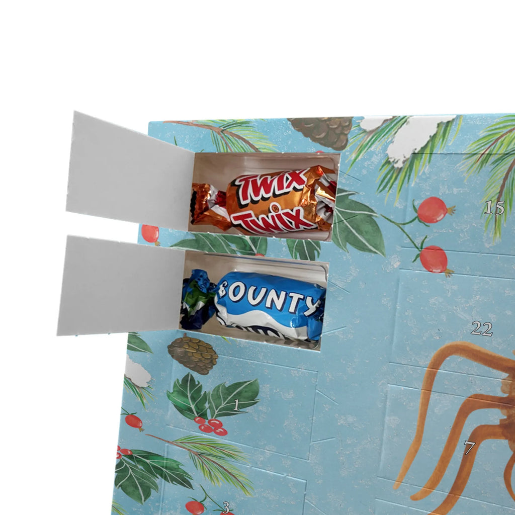  Pająk Agata kanapka Filmy, Towary, Pająk, Pająk Agathe