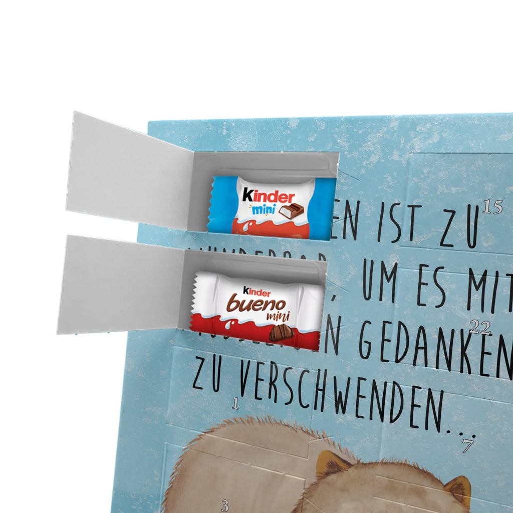  Wombat Motywy zwierzęce, dobra energia, zabawne powiedzonka, zwierzęta