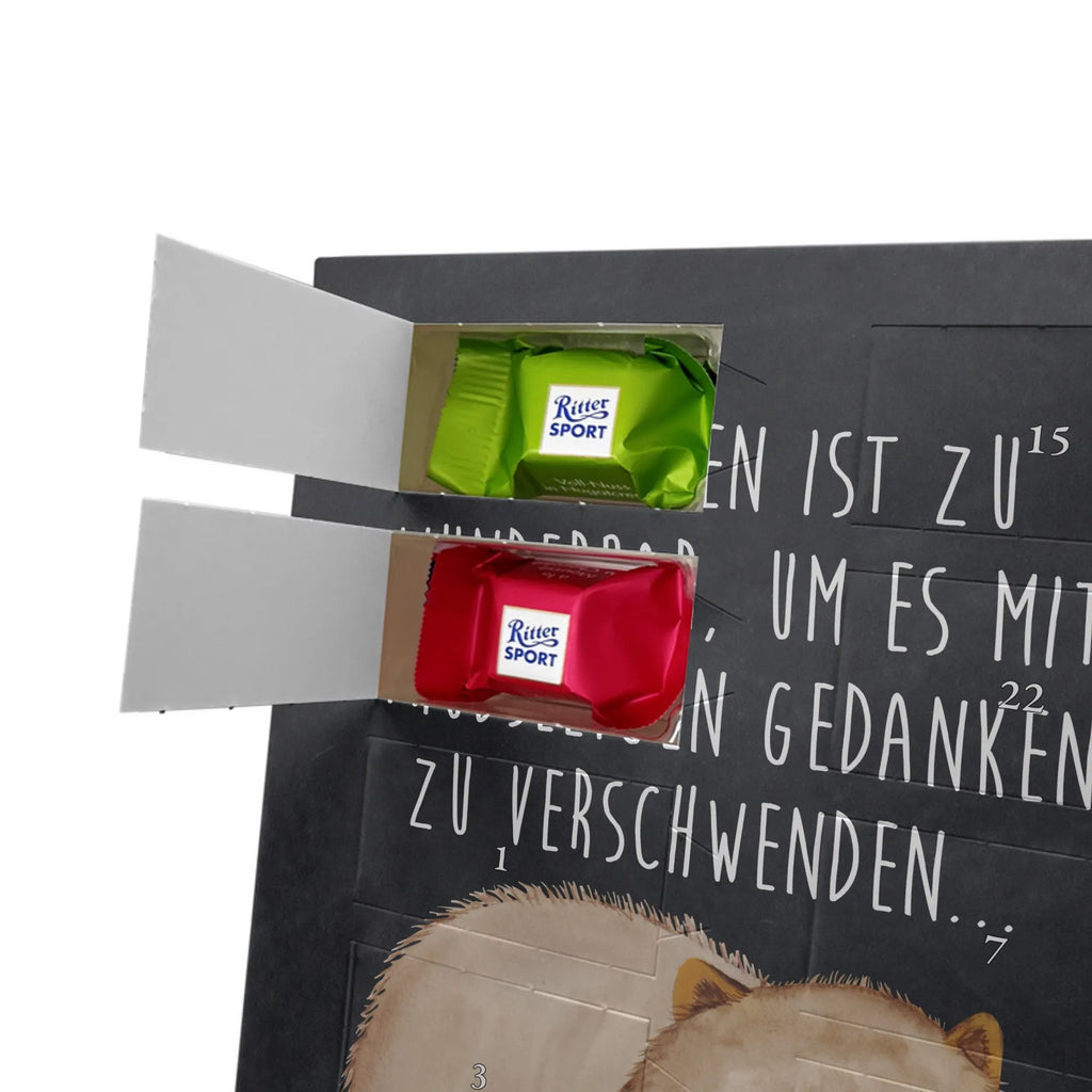  Wombat Motywy zwierzęce, dobra energia, zabawne powiedzonka, zwierzęta