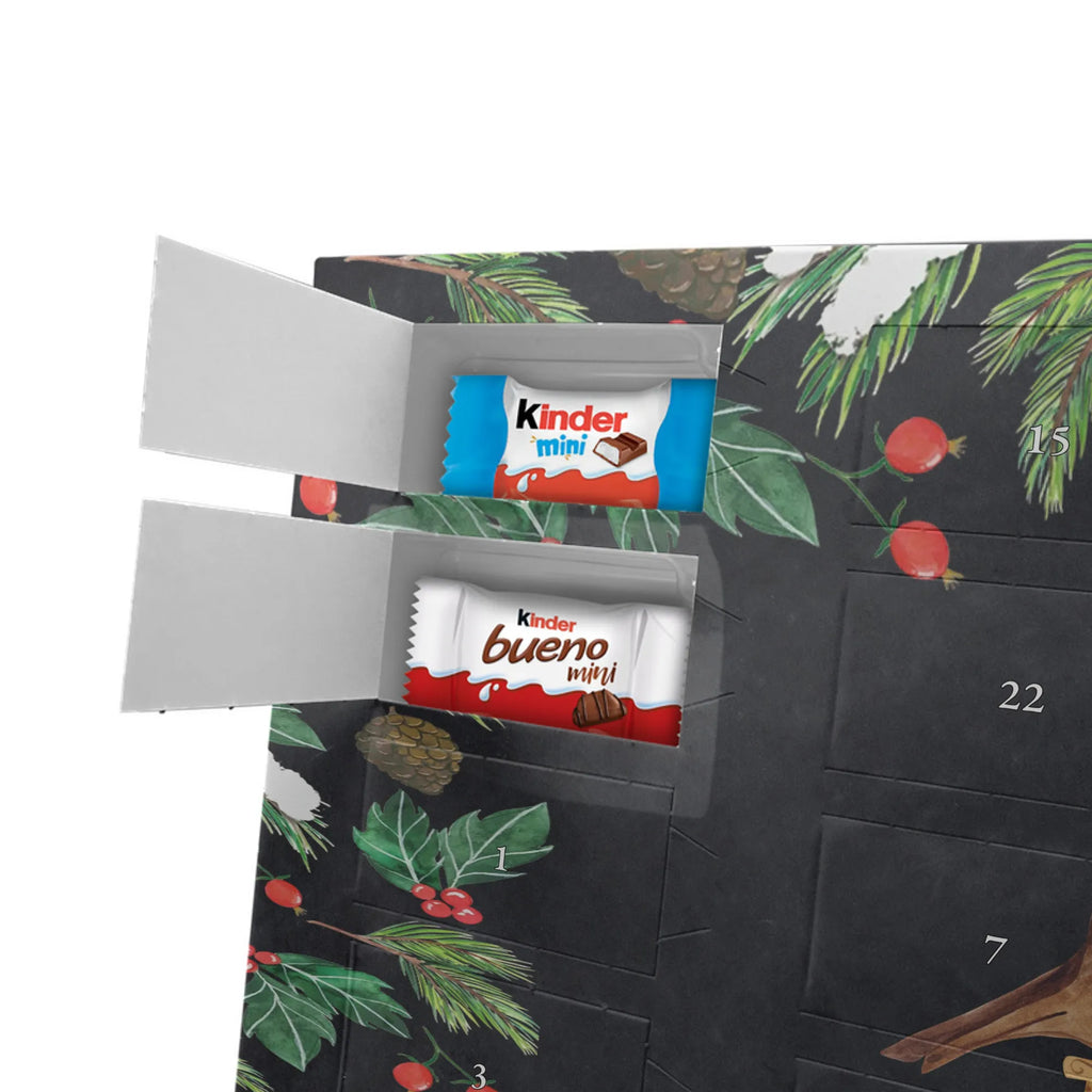  robin Sleds snow, Christmas time, bird, sleigh