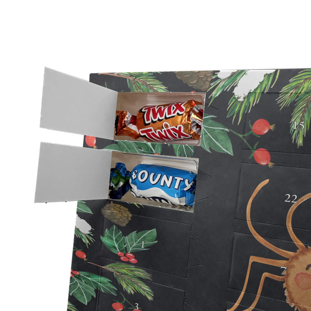  Pająk Agata Motywacja Filmy, Towary, Pająk, Pająk Agathe