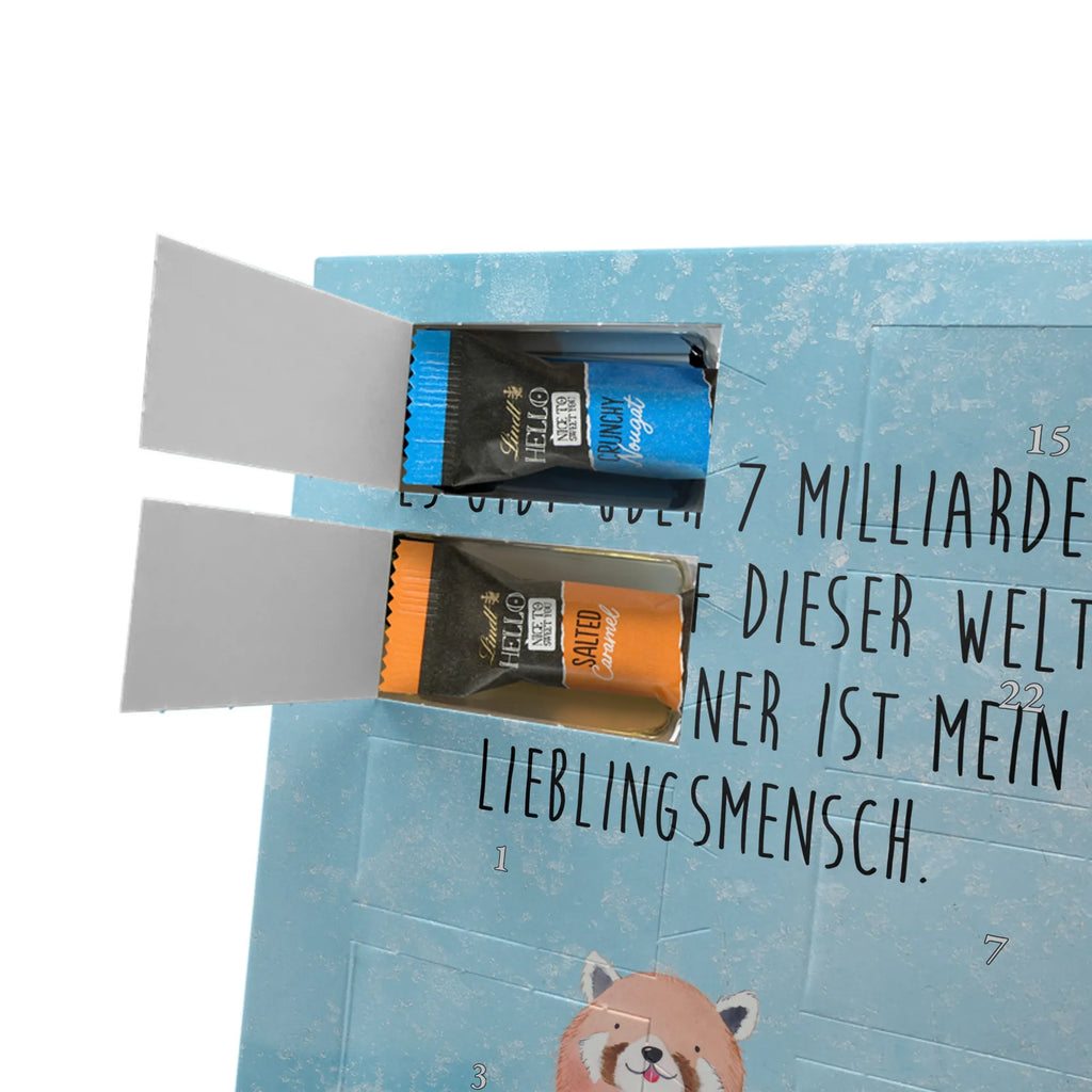  Czerwony Panda Motywy zwierzęce, dobra energia, zabawne powiedzonka, zwierzęta