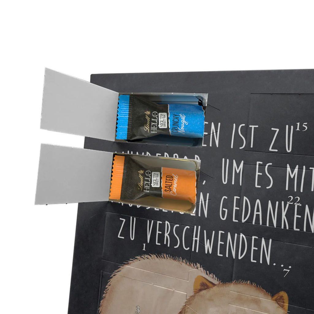  Wombat Motywy zwierzęce, dobra energia, zabawne powiedzonka, zwierzęta