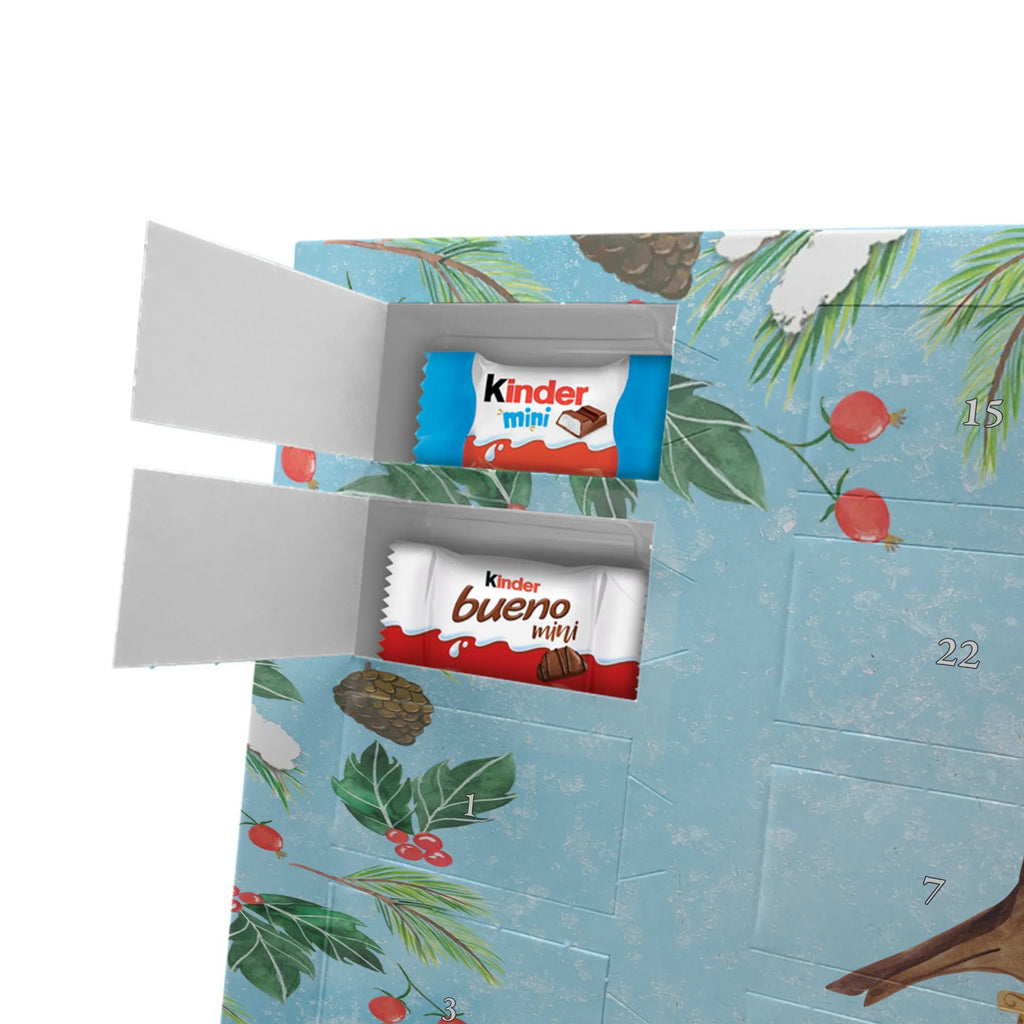  robin Sleds snow, Christmas time, bird, sleigh