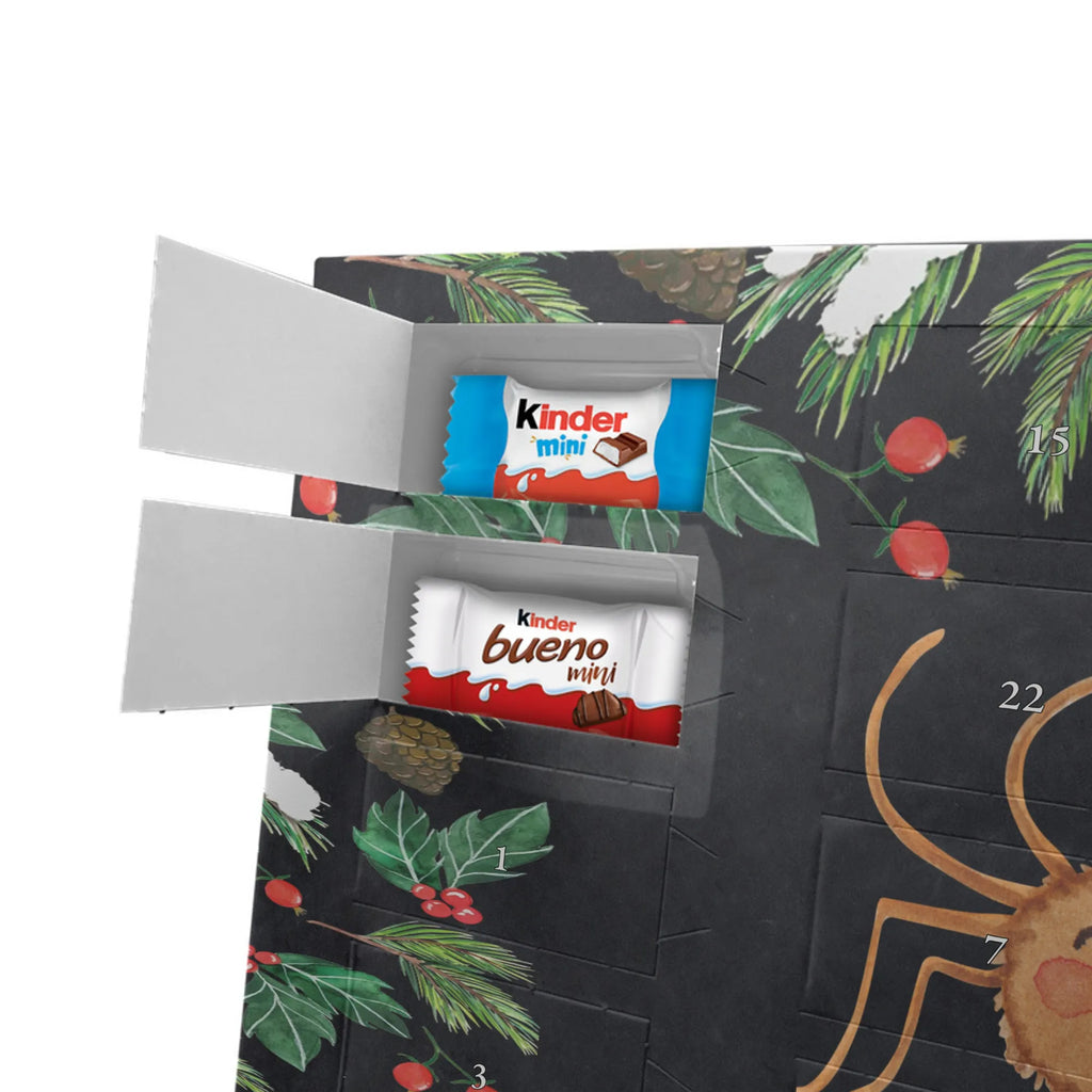  Pająk Agata Motywacja Filmy, Towary, Pająk, Pająk Agathe