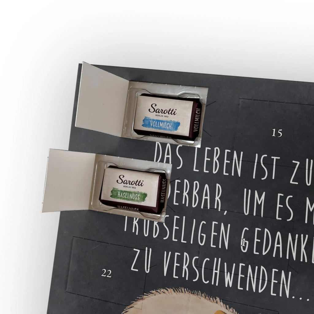  Wombat Motywy zwierzęce, dobra energia, zabawne powiedzonka, zwierzęta