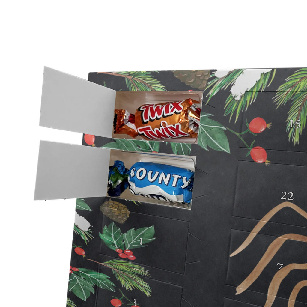  Pająk Agata radość Filmy, Towary, Pająk, Pająk Agathe