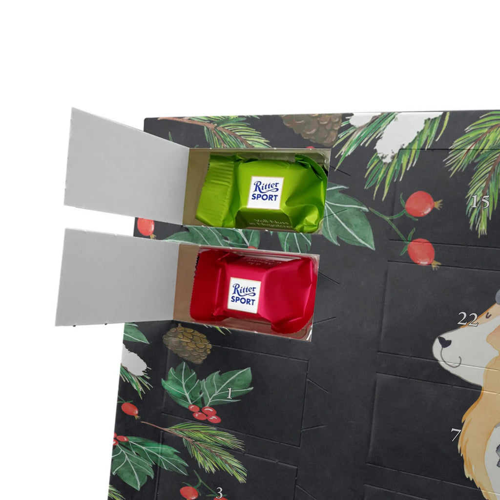  Pies Owczarek australijski Pies, właściciel psa, rasa psa, miłośnik zwierząt, zwierzę domowe, motyw psa, powiedzenia