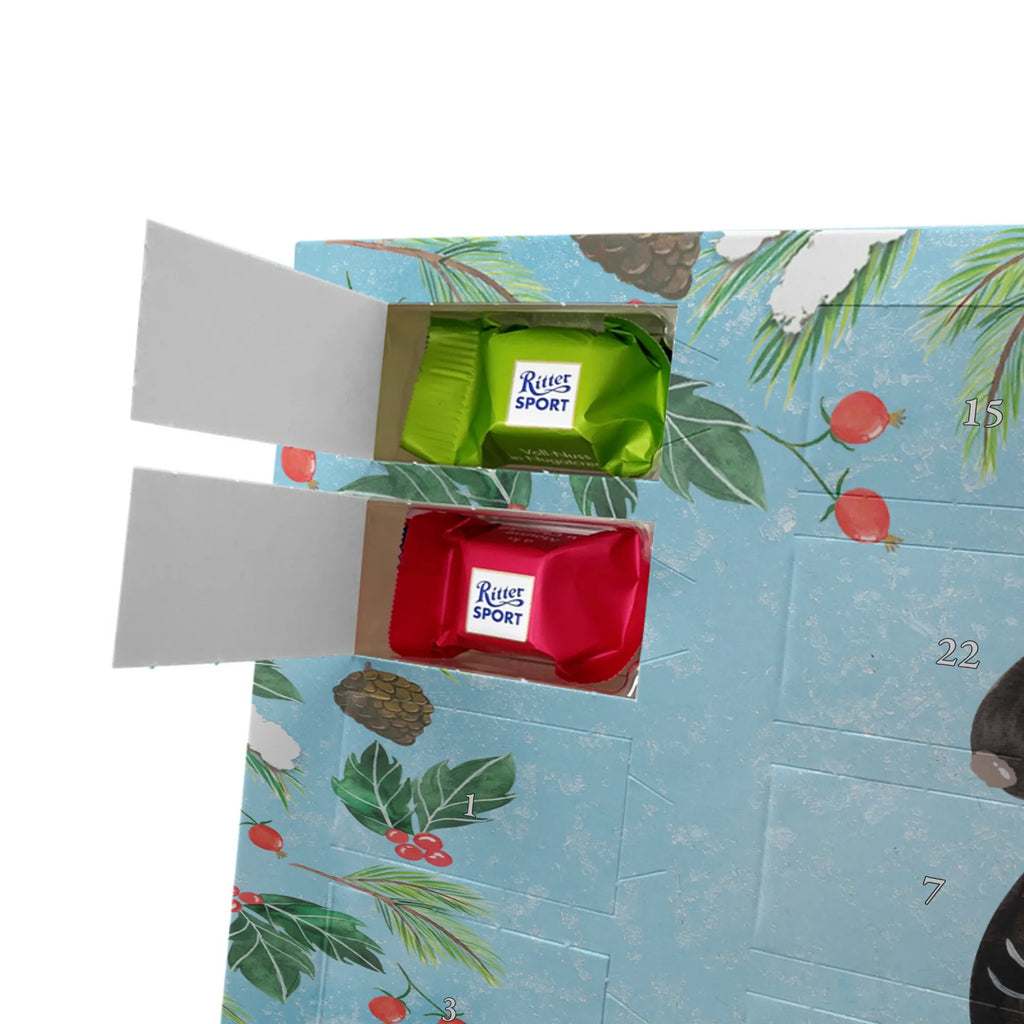  skunk flower predator, stink, wild animal, dreamy, daydreamer