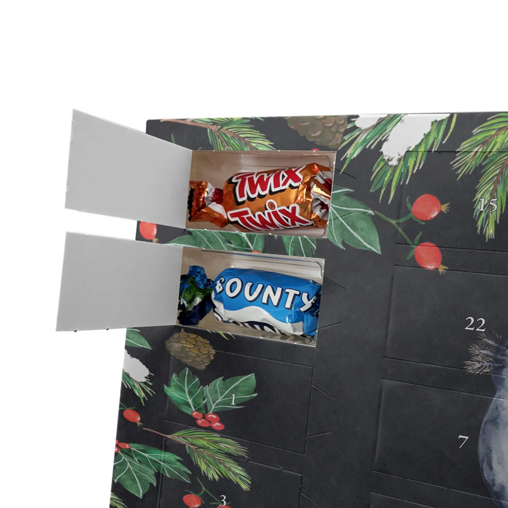  axolotl Girlfriend salamander, Axelotl, marine animals, Mexican walking fish, anniversary, fiancé, tail, friend, amphibian, valentine's day, great love, proof of love, husband