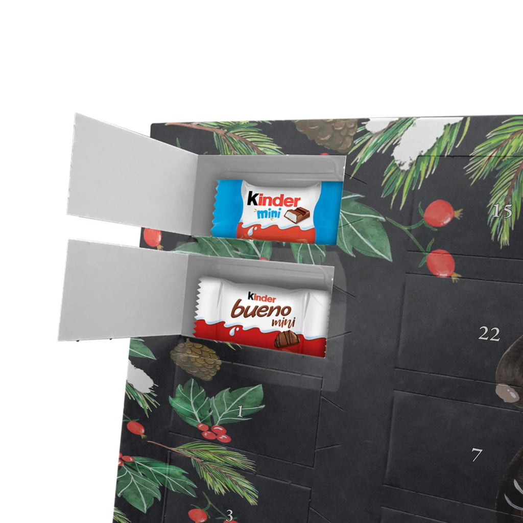  skunk flower predator, stink, wild animal, dreamy, daydreamer