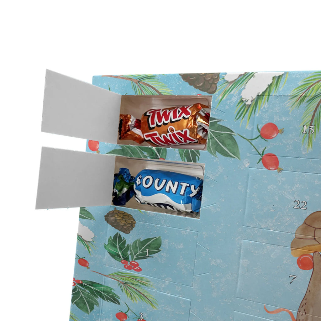  żółw mysz Skałka