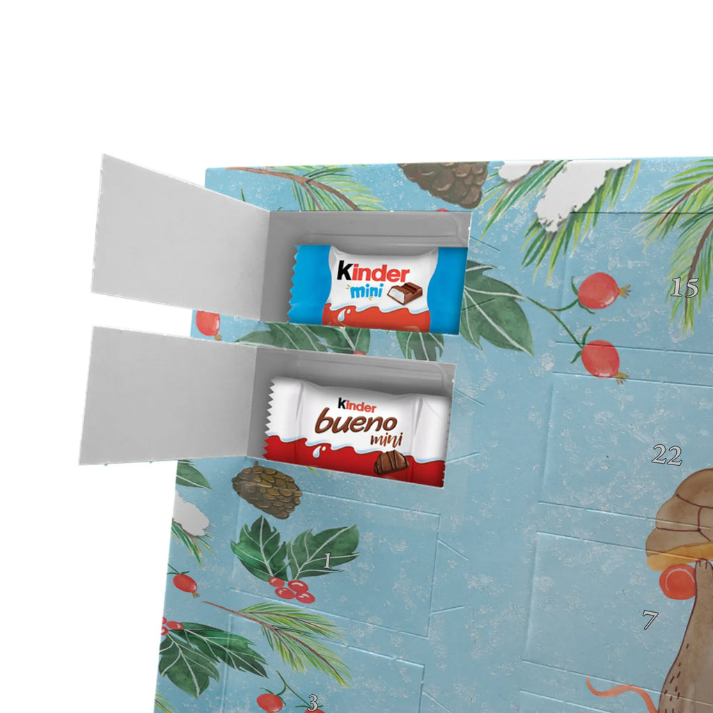  tortoise Mouse gift, gift ideas, reptile, illustrated, best friend, ancient creature, sweet, tortoise, birthday gift, funny turtle gifts, turtle lover, turtle gift items, pet turtles, cute, sister or daughter, mouse, friends, girlfriends