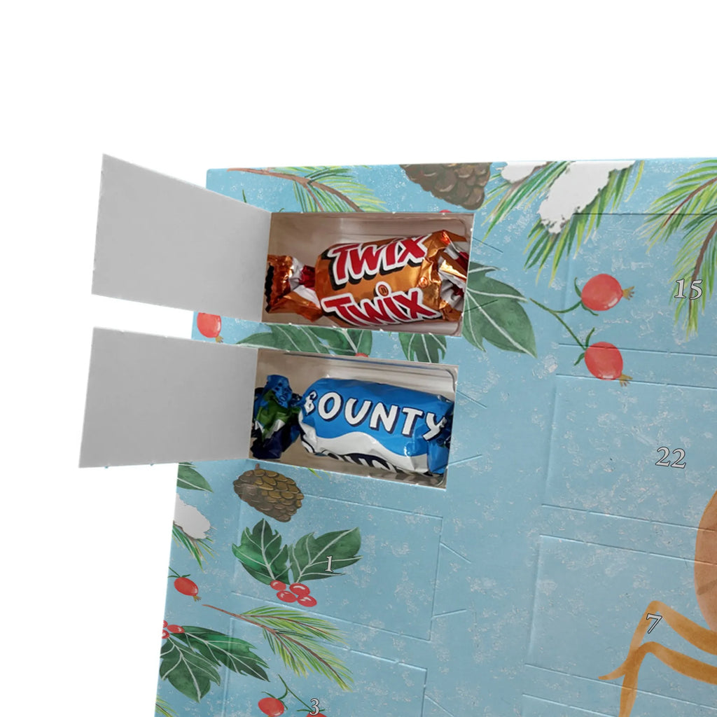 Adventskalender mit Namen Sternzeichen Skorpion Adventskalender mit Namen, Personalisierter Adventskalender, Aszendent, Sternzeichen, Astrologie, Tierkreiszeichen, Horoskop, Geburtstag Oktober, Geburtstag November, Geschenk November, Skorpione, Skorpion Geschenk, Geschenk Oktober, Skorpion Sternzeichen