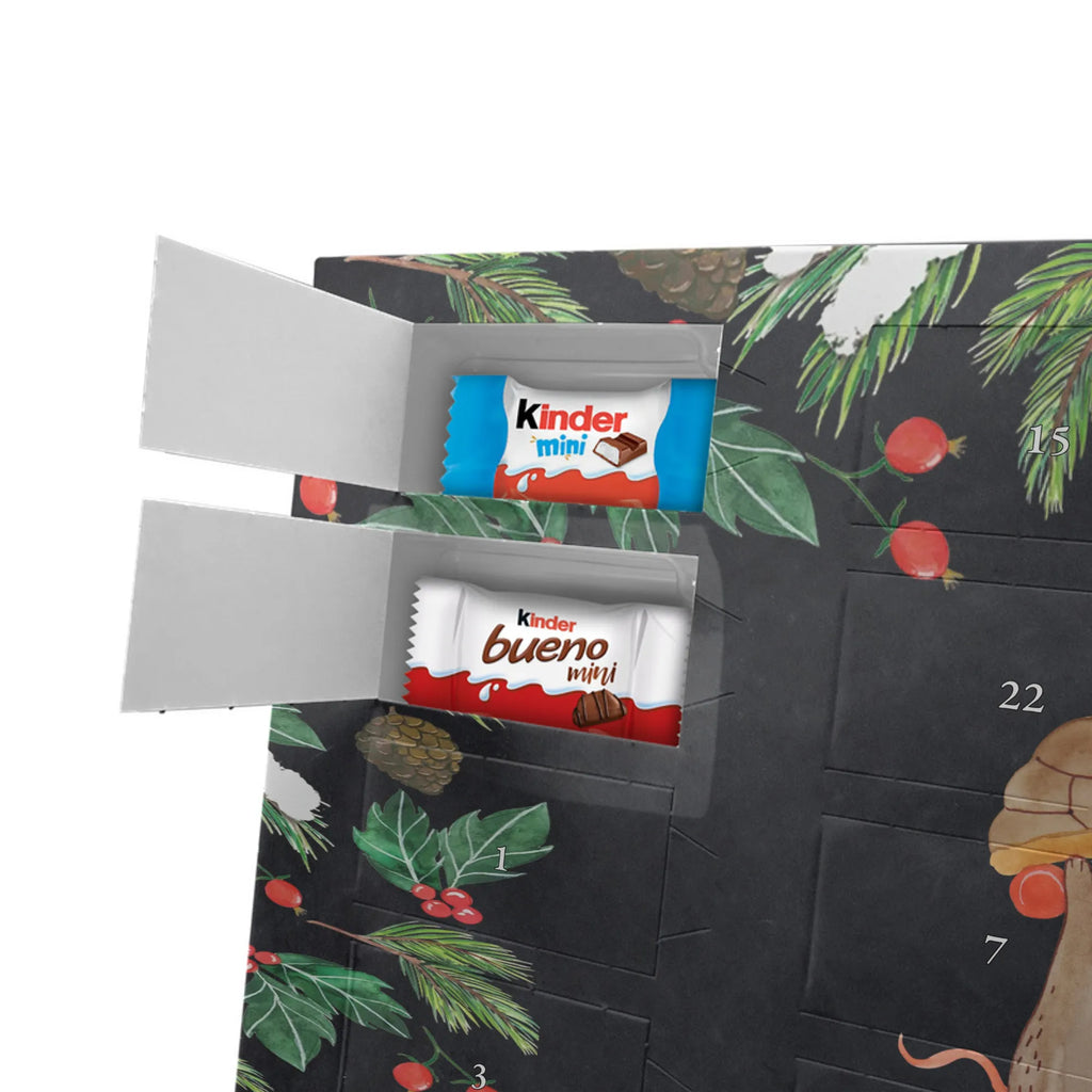  żółw mysz Skałka