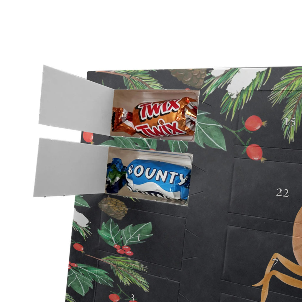 Adventskalender mit Namen Sternzeichen Skorpion Adventskalender mit Namen, Personalisierter Adventskalender, Aszendent, Sternzeichen, Astrologie, Tierkreiszeichen, Horoskop, Geburtstag Oktober, Geburtstag November, Geschenk November, Skorpione, Skorpion Geschenk, Geschenk Oktober, Skorpion Sternzeichen