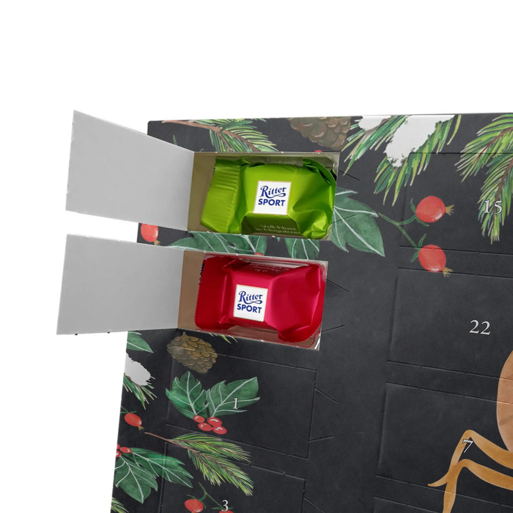  Star sign Scorpio constellations, astrology, birthdays, month of birth, date of birth, birthday november, scorpion star sign, scorpions, birthday october, gift october, scorpion gift, gift november