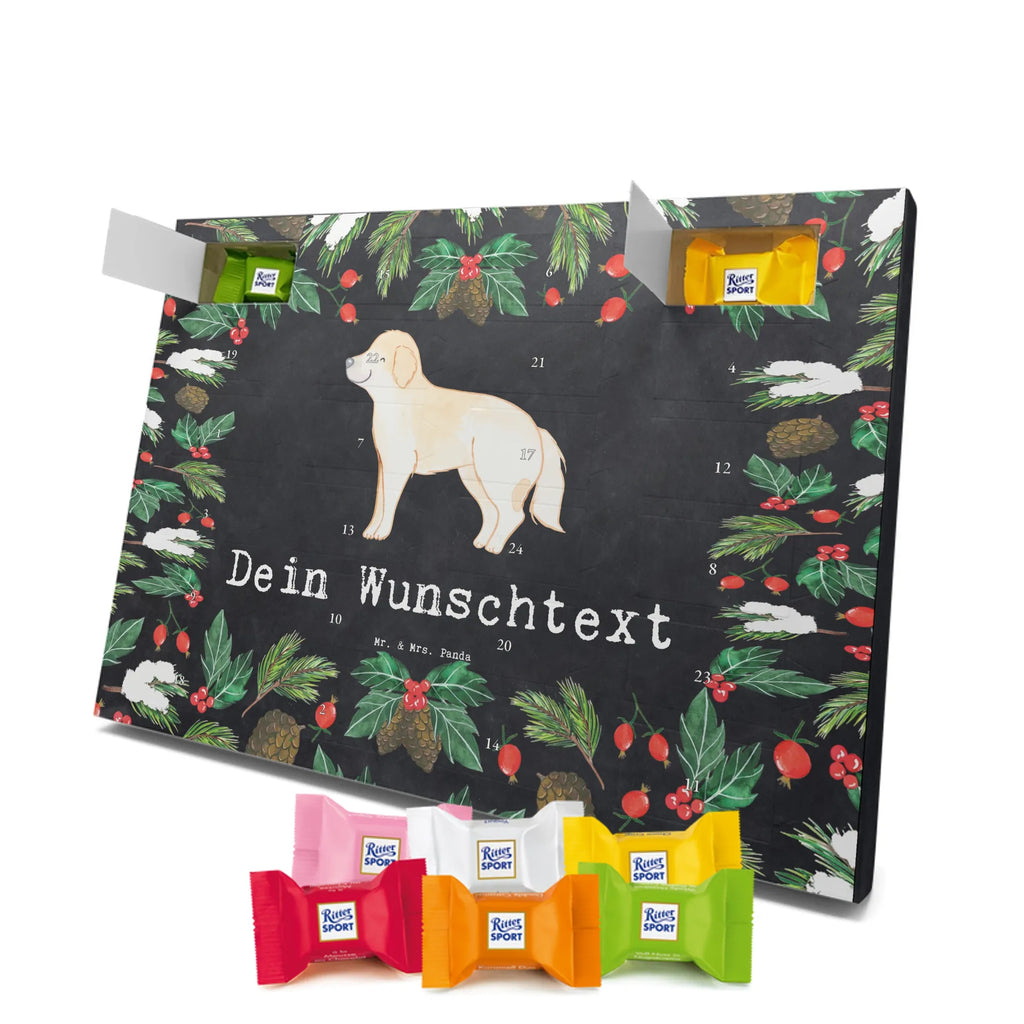  Golden Retriever chwila dawanie, prezent, Pies, rasa psa, pies rasowy, właściciel psa, miłośnik zwierząt, szczeniak