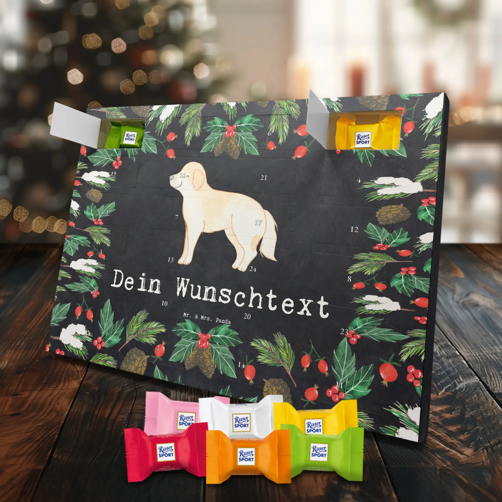  Golden Retriever chwila dawanie, prezent, Pies, rasa psa, pies rasowy, właściciel psa, miłośnik zwierząt, szczeniak