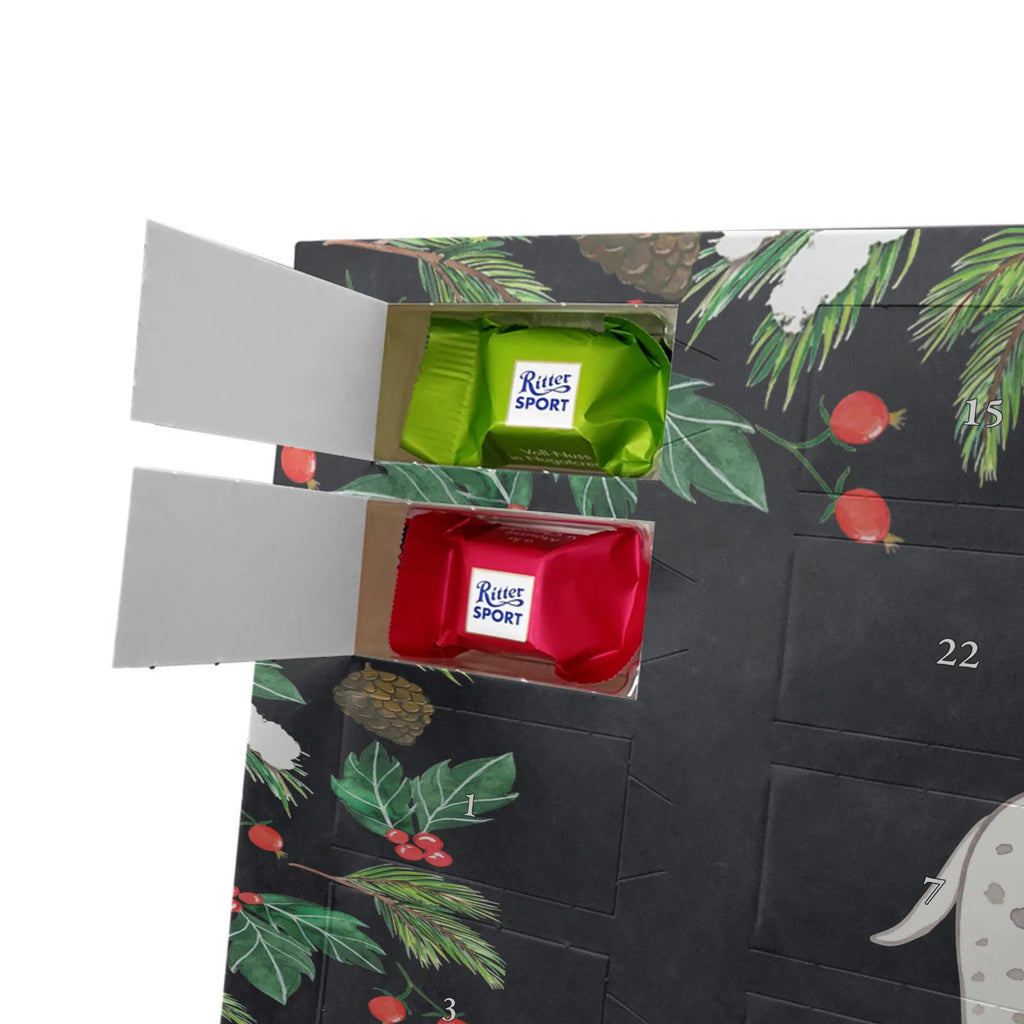  Dalmatyńczyk Chwila dawanie, prezent, Pies, rasa psa, pies rasowy, właściciel psa, miłośnik zwierząt, szczeniak