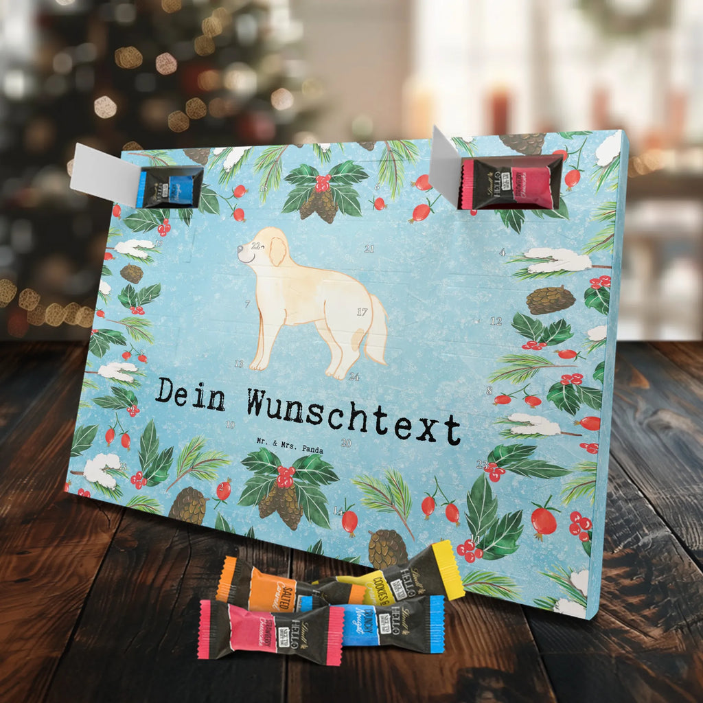  Golden Retriever chwila dawanie, prezent, Pies, rasa psa, pies rasowy, właściciel psa, miłośnik zwierząt, szczeniak